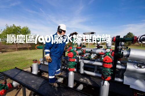 順慶區(qū)廢水處理的綠色革命！你明白其中的秘密嗎？